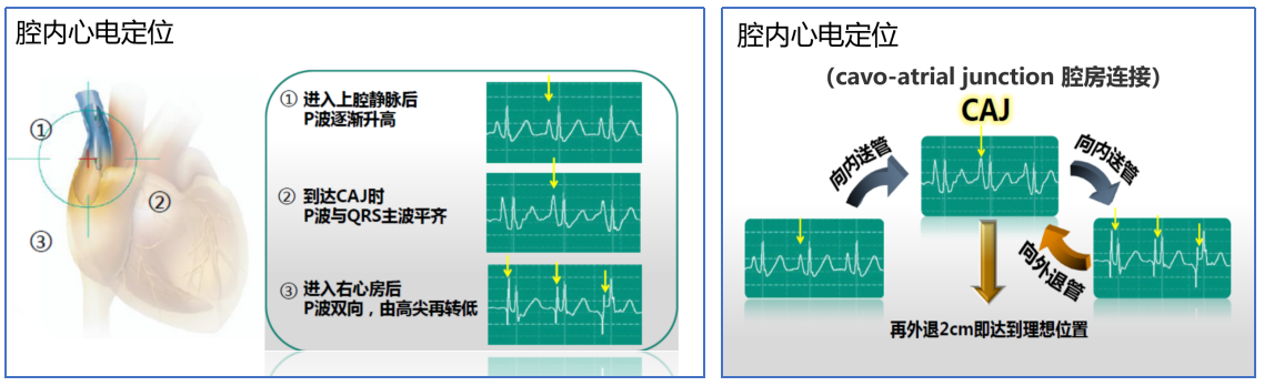 1629202105(1).png