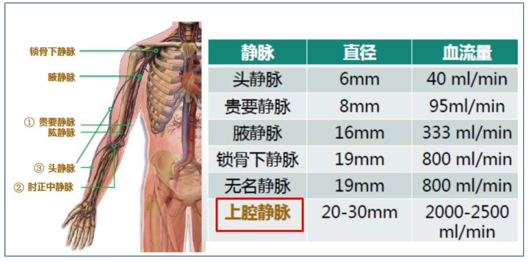 1629202188(1).png