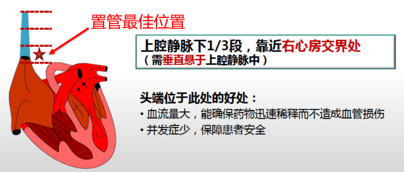 1629202456(1).png