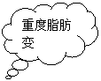 云形标注: 重度脂肪变
