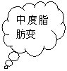 云形标注: 中度脂肪变