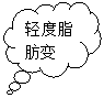 云形标注: 轻度脂肪变