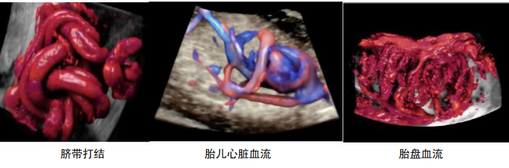 1633620319(1).png