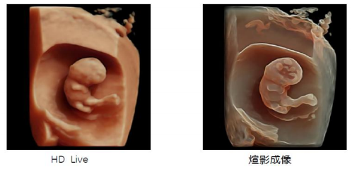 1633620456(1).png
