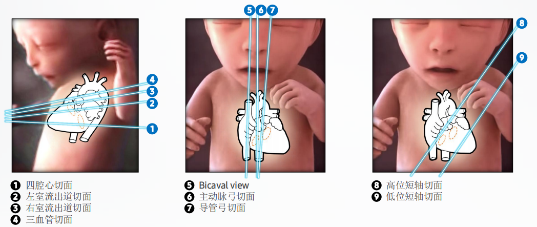 1633828952(1).png