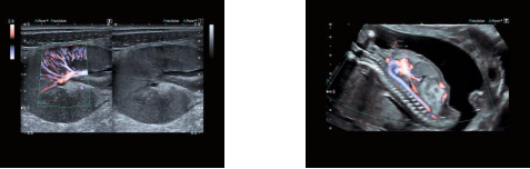 1634650196557648.png image.png