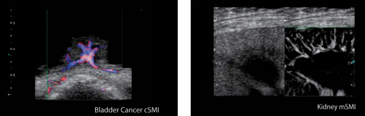 1634650327436600.png image.png