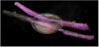 1635339975114120.png image.png