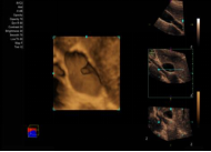 1635688830145275.png image.png