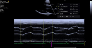 1635688926769150.png image.png