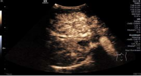 1635860403734251.png image.png