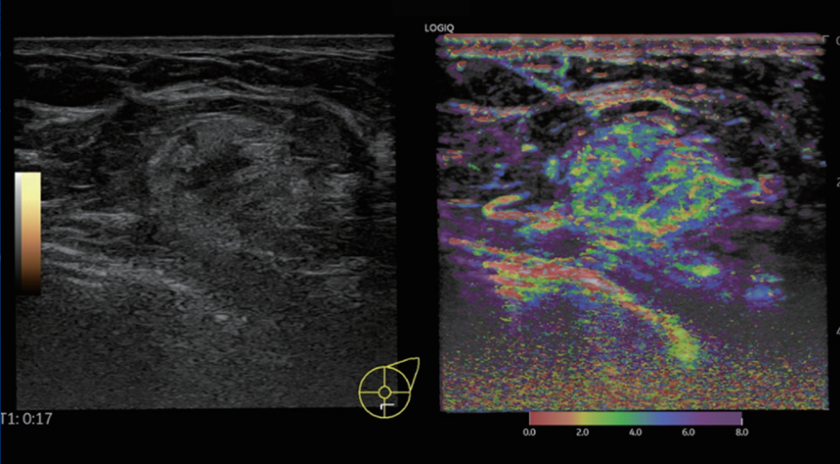 1639205556452048.png 1eedc049757af8de088ff5a741d962b.png