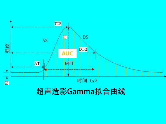 1640270046136879.jpg 300.jpg