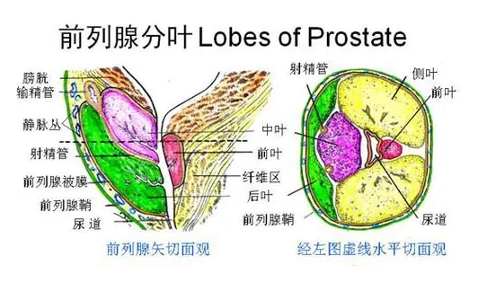 f6054820d2f7f8e09509ed9e74bee12.png