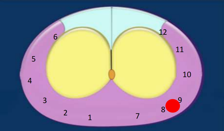 1686551320021.png