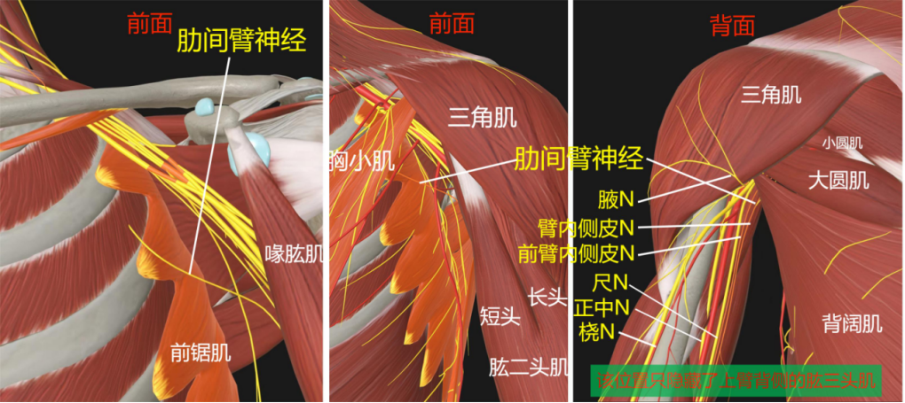 1688914453809944.jpg 1688914439721.jpg