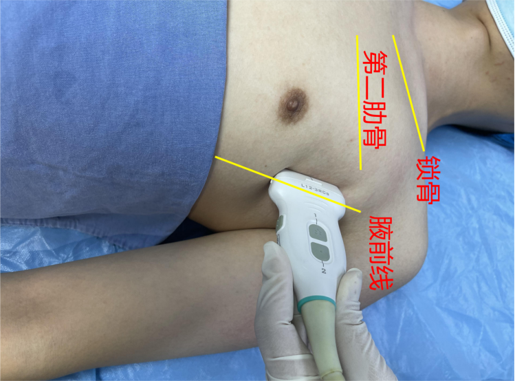 1688914475130046.jpg 1688914468774.jpg