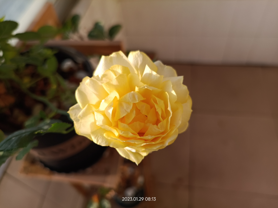 08055dc1cdddcd9176907a7cc66b0f55_640_wx_fmt=png&wxfrom=5&wx_lazy=1&wx_co=1.png