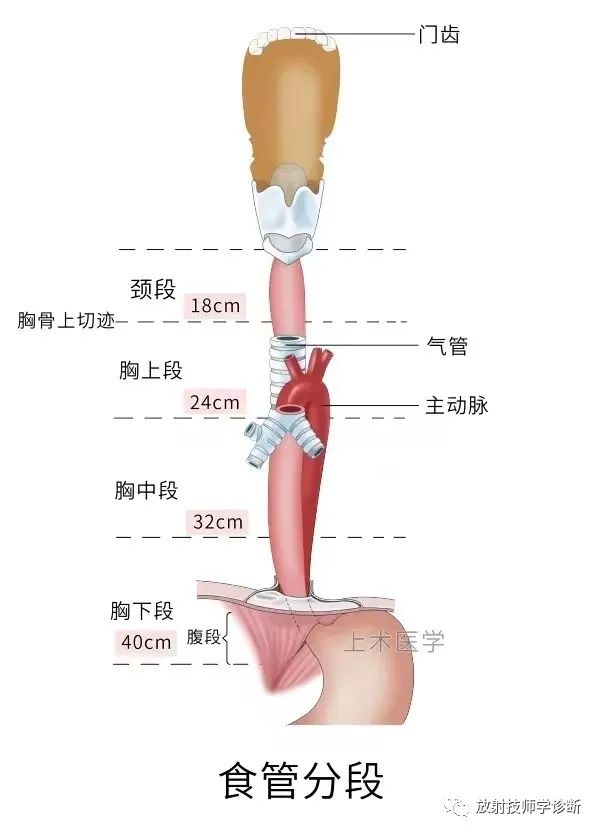 1703041023753916.jpg 1703041018602.jpg