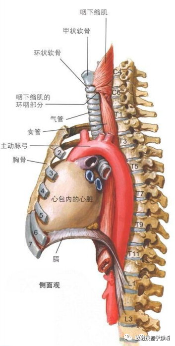 1703041042541210.jpg 1703041035142.jpg