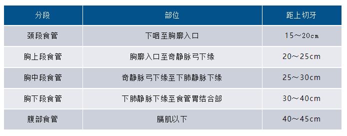 1703041071209263.png 1703041063356.png