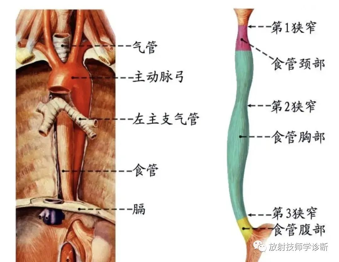 1703041098165586.jpg 1703041083733.jpg